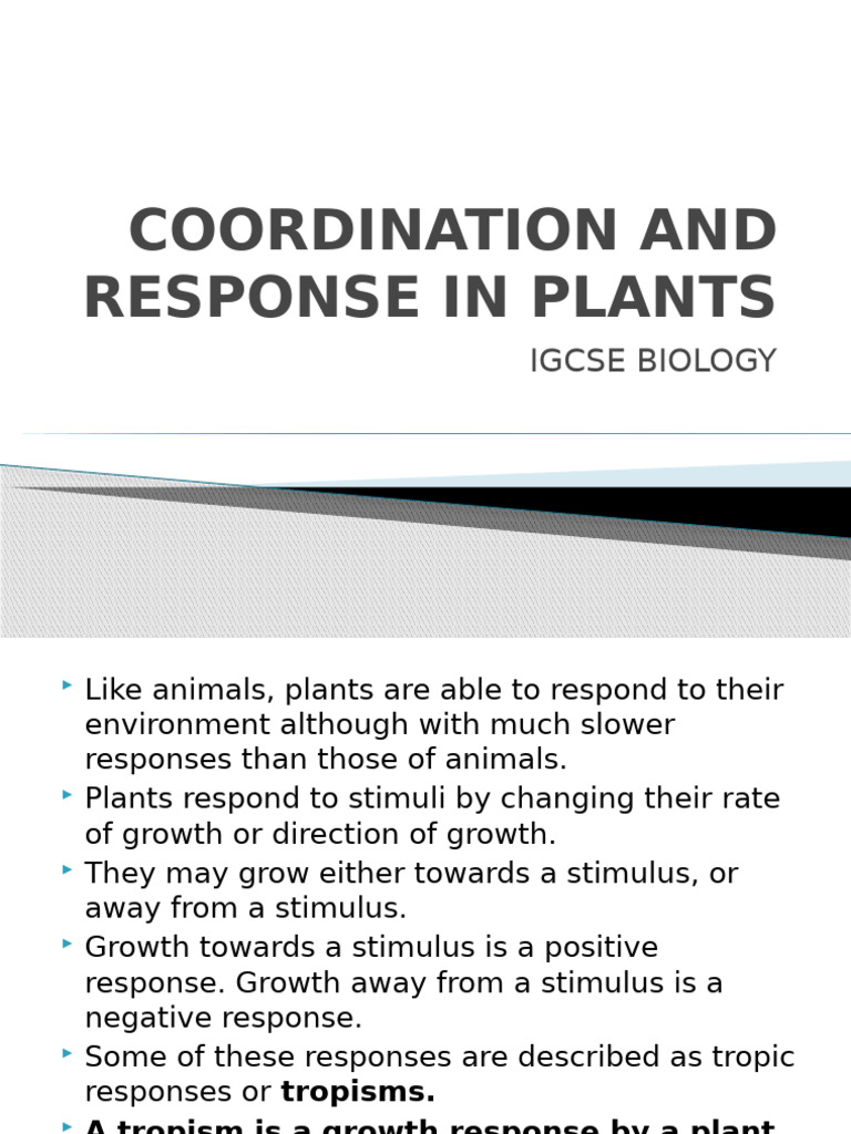 Coordination and Response in Plants 2 | PDF | Auxin | Root