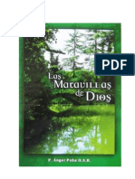 Las maravillas de Dios - Padre Angel Peña