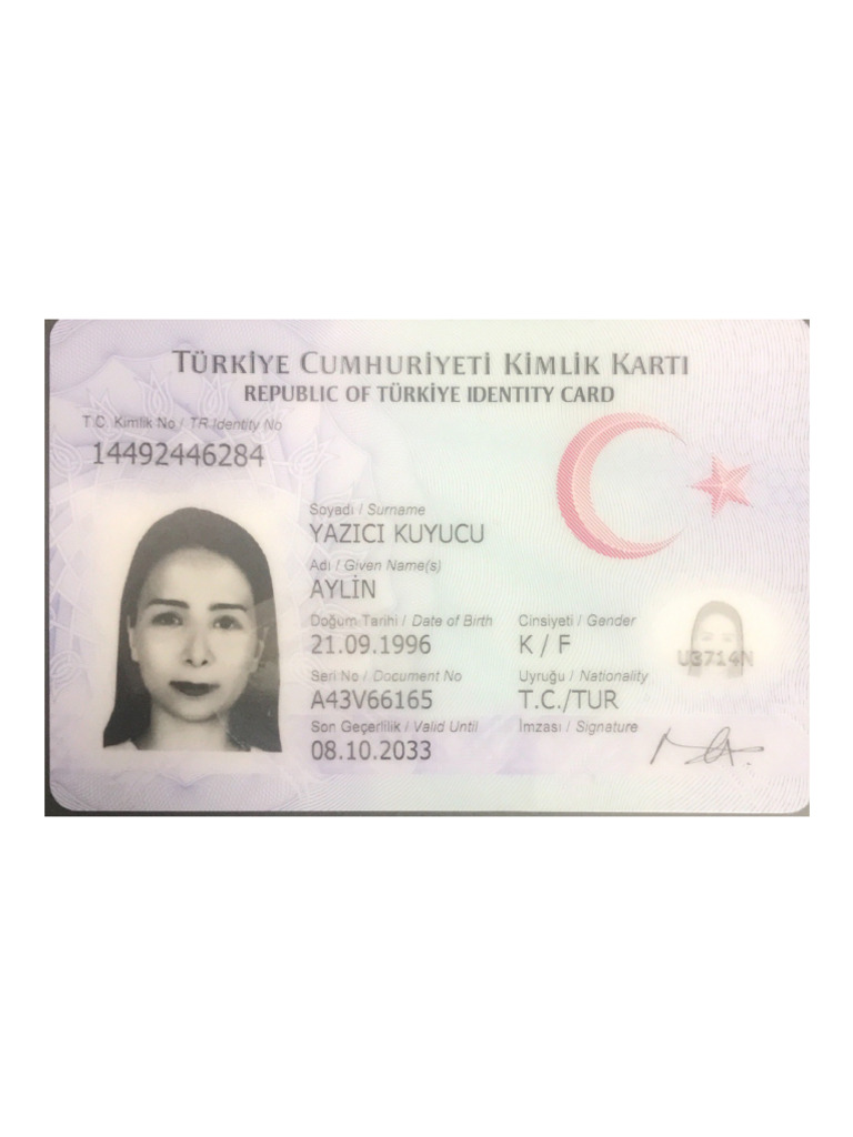 Aylin Kimlik | PDF