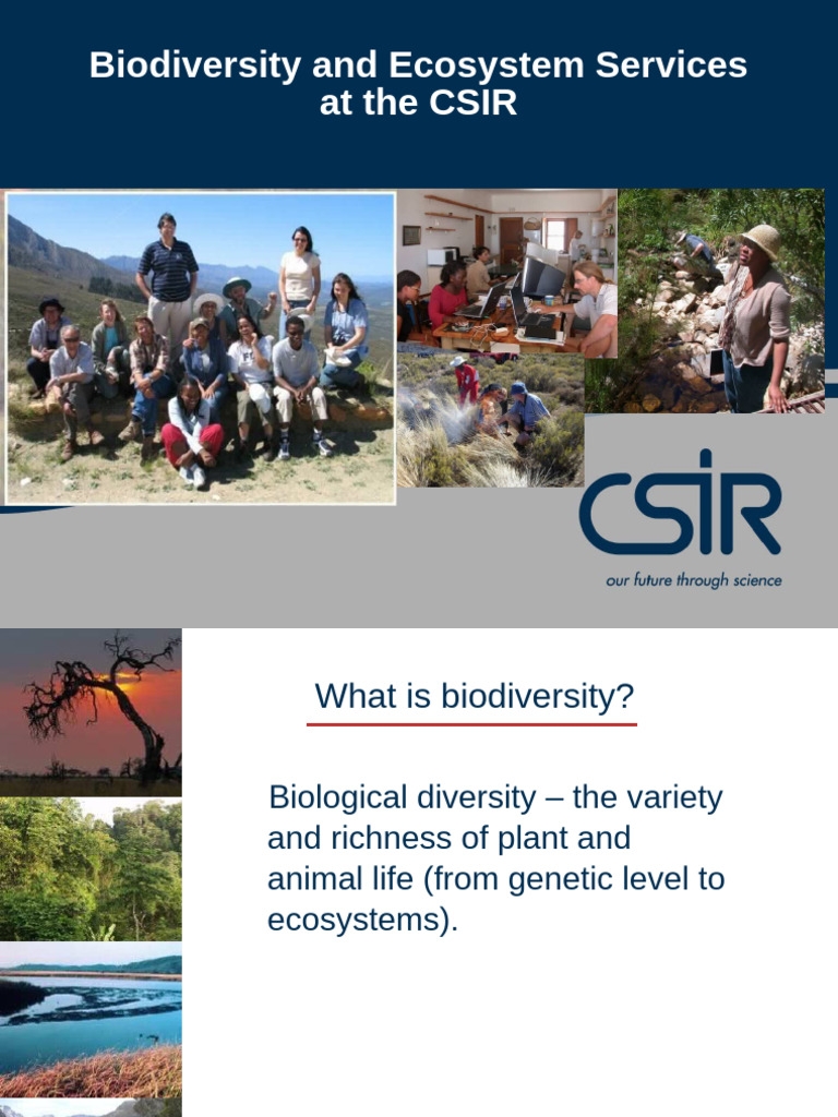 Biodiversity and Ecosystem Services Overview | PDF | Biodiversity ...