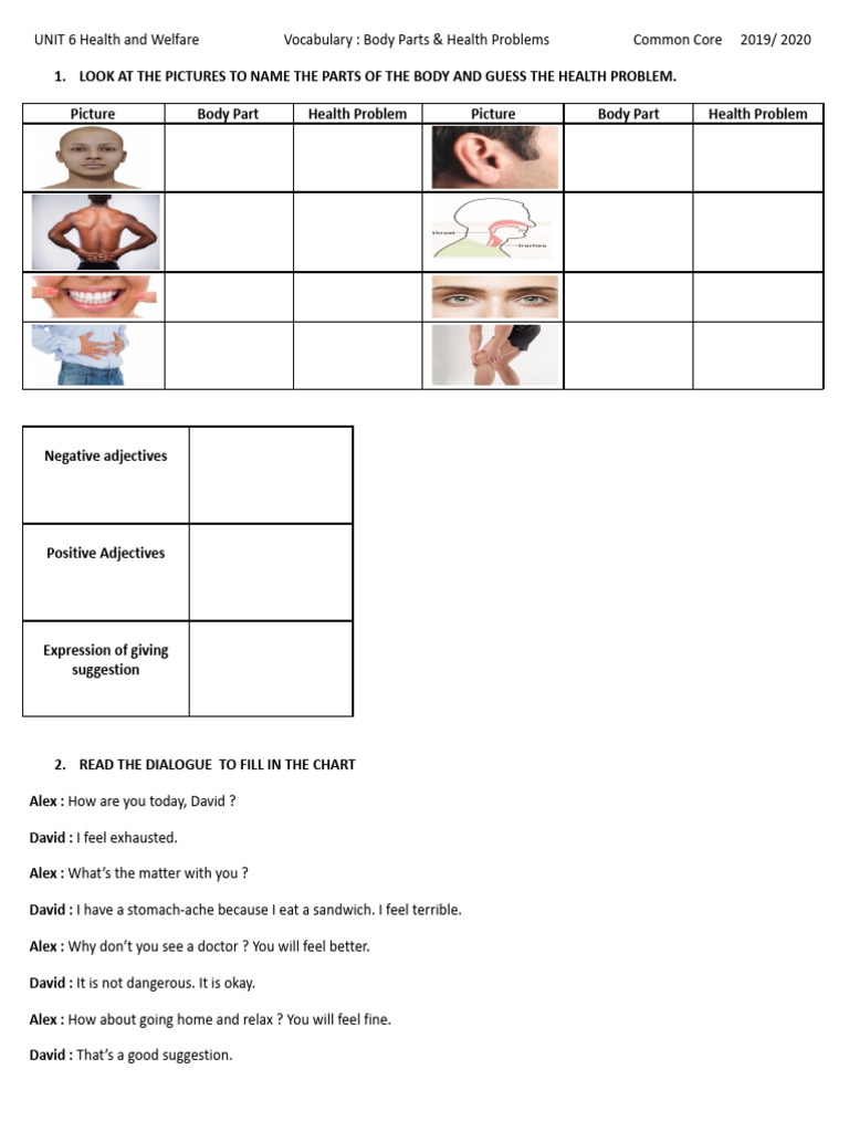 Body Parts and Health Vocabulary Guide | PDF