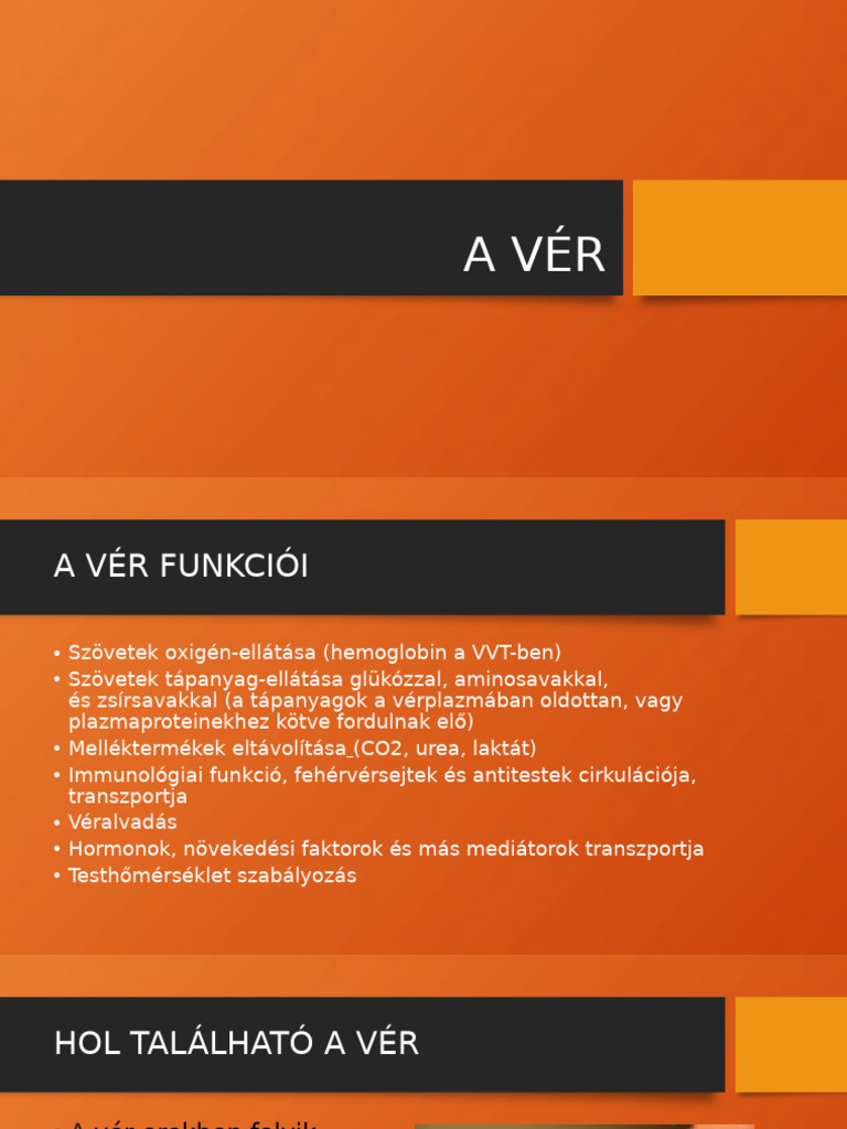 Ver | PDF