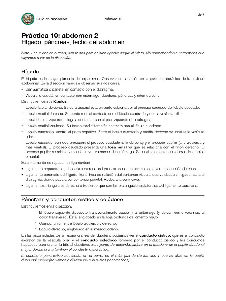 Guion Práctica 10 - Abdomen II | PDF | Hígado | Abdomen