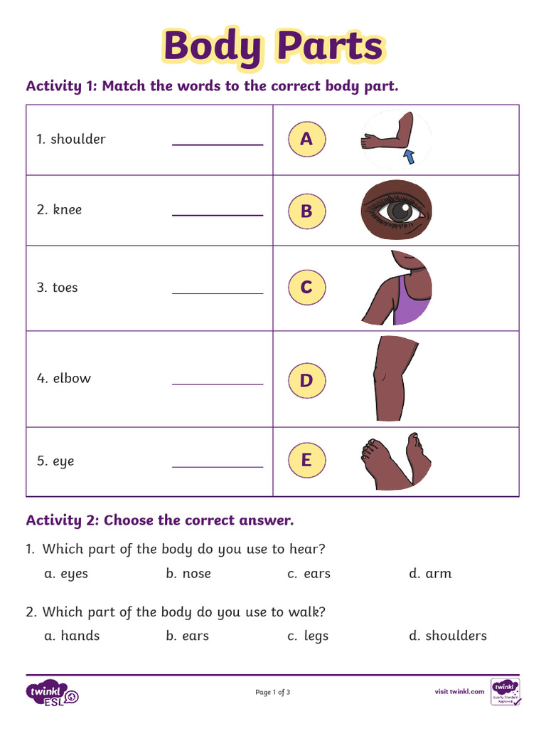 Body Parts Worksheet for Grade 1 | PDF