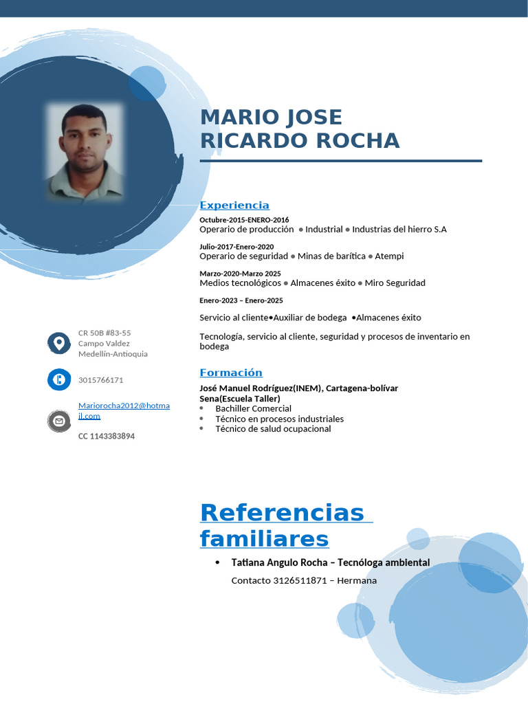 Experiencia Laboral de Mario José Rocha | PDF