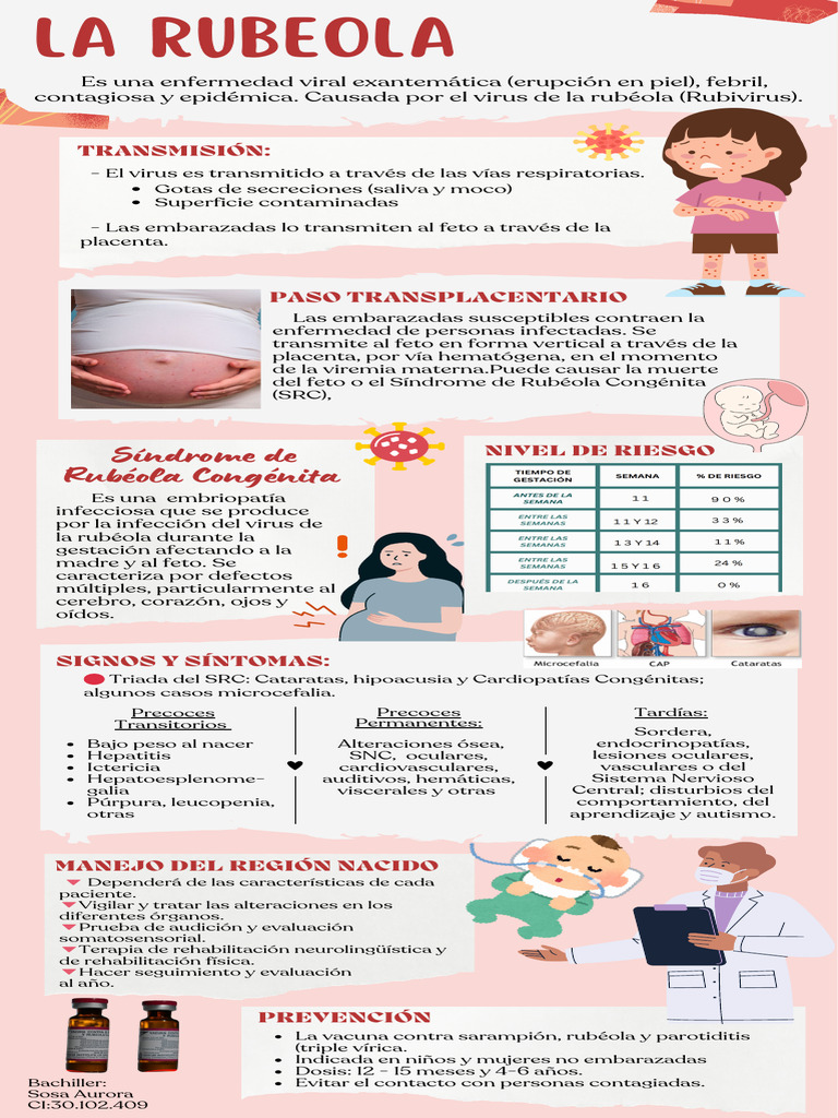 Infografía de Rubeola | PDF | Virología | Microbiología