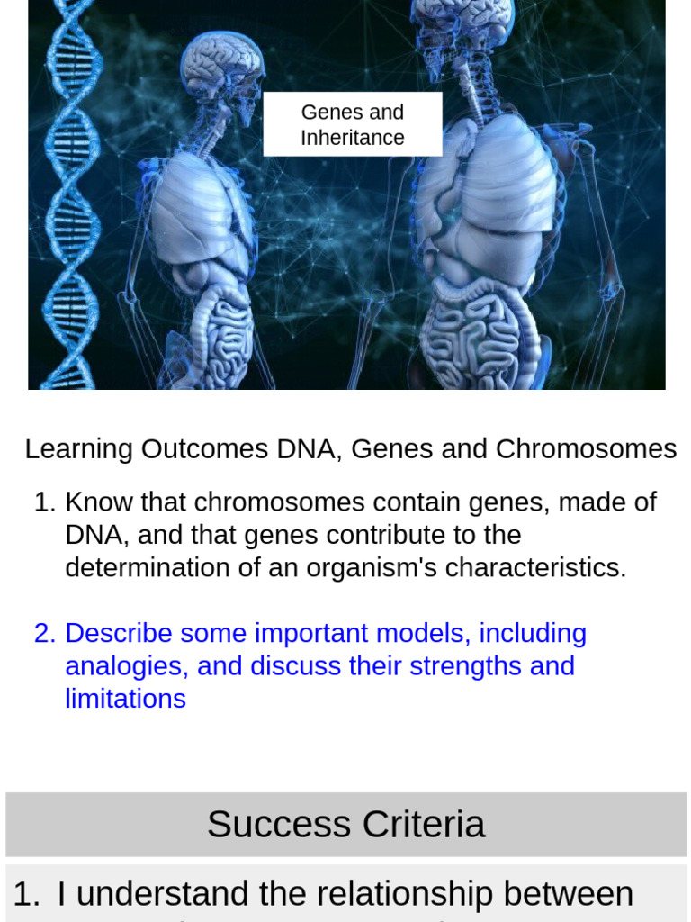 Understanding Genes, DNA, and Inheritance | PDF | Dna | Gene