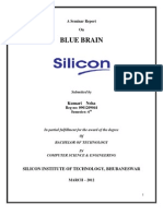 Report on Blue Brain
