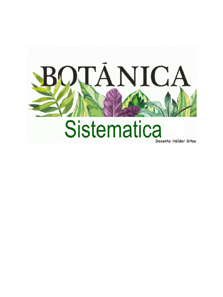 Texto de Apoio Nr. 1 - Botânica Sistemática - Helder Sitoe | PDF ...