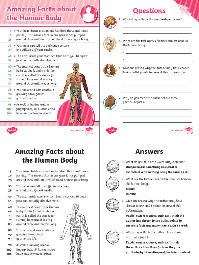 5 AMAZING FACTS ABOUT HUMAN BODY visual data 6