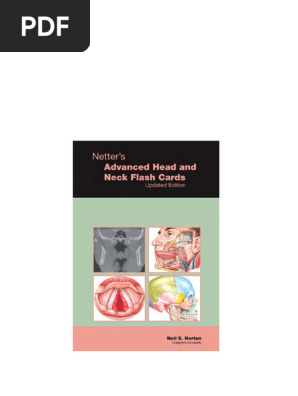 Head And Neck Anatomy Flash Cards