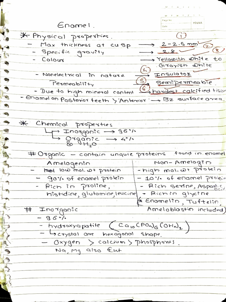 Enamel Structure and Properties Overview | PDF | Dentistry Branches | Mouth