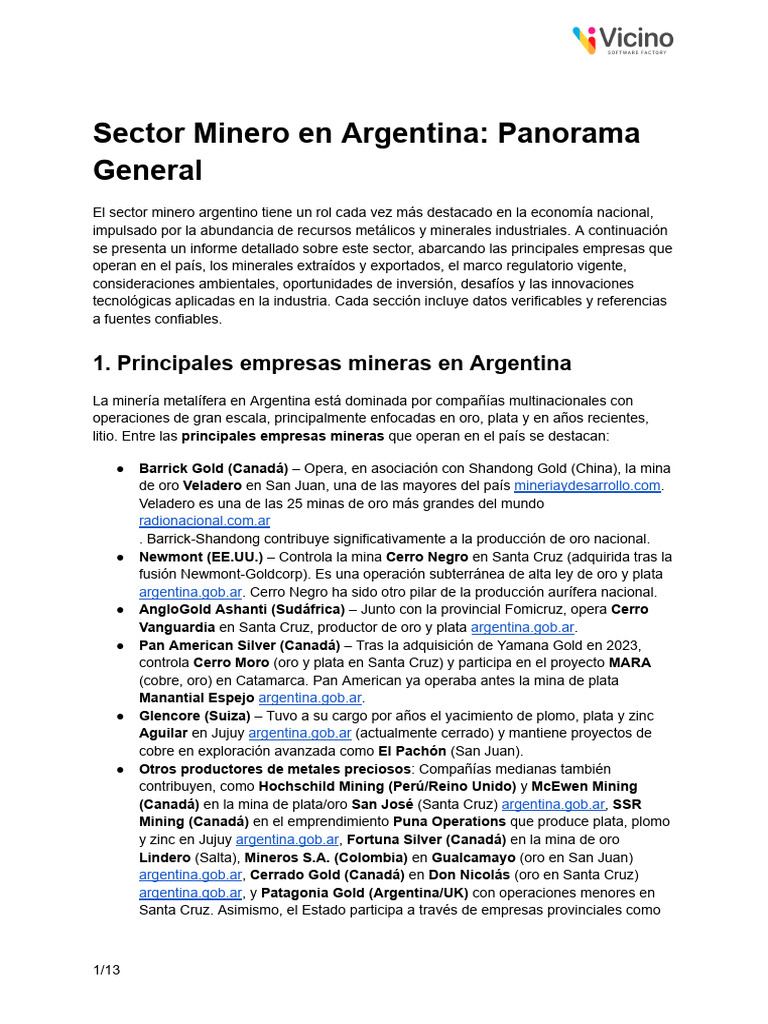 Sector Minero en Argentina - Panorama General - Vicino Software | PDF ...