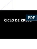 Ciclode Krebs