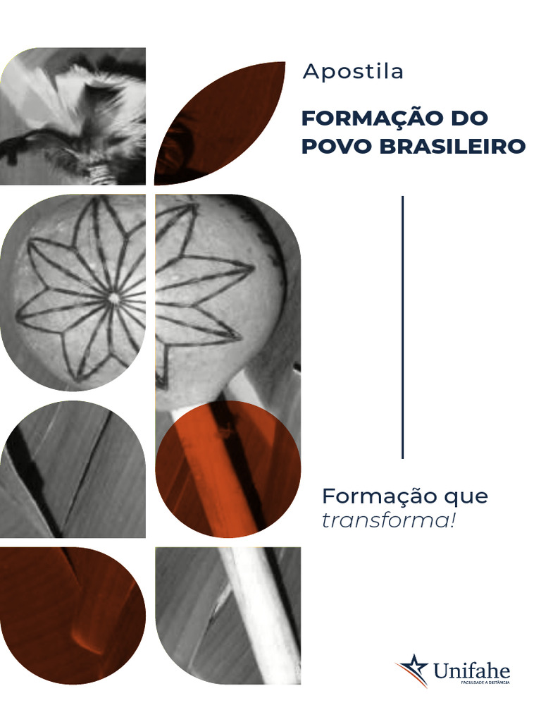Formação Do Povo Brasileiro | PDF | Brasil | Brasileiros