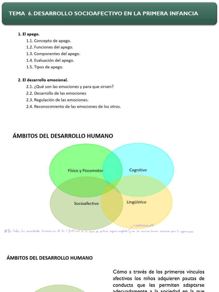 Desarrollo Socioafectivo Infantil | PDF | Teoría de apego | Las emociones