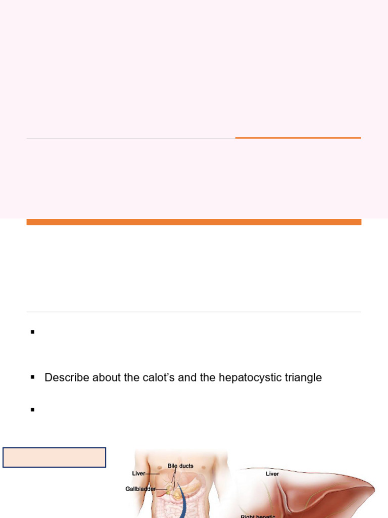 Hepatocystic Triangle Anatomy Overview | PDF | Liver | Gallbladder