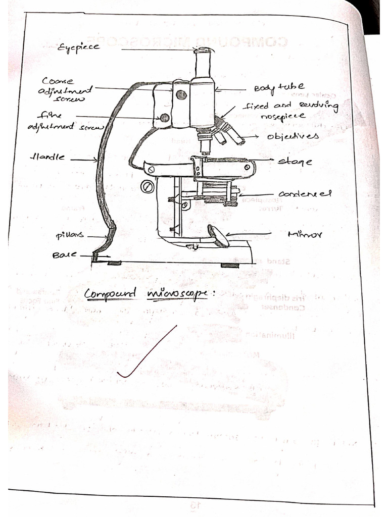 Physiology Record | PDF