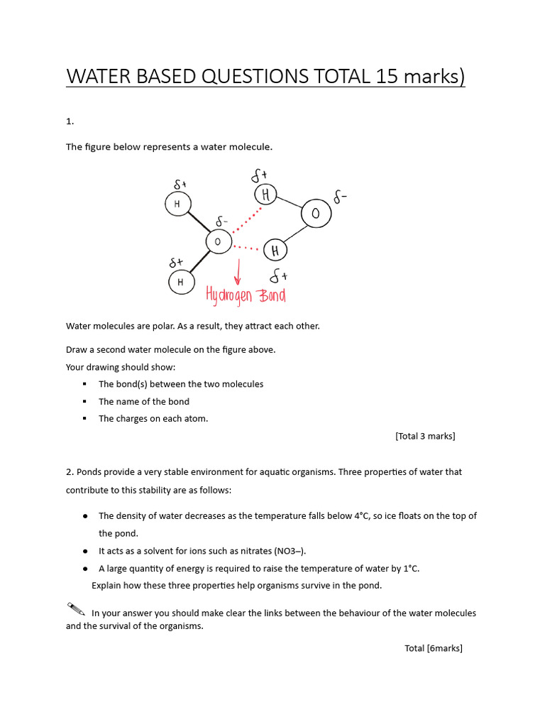 Polar Properties of Water Explained | PDF | Properties Of Water | Water