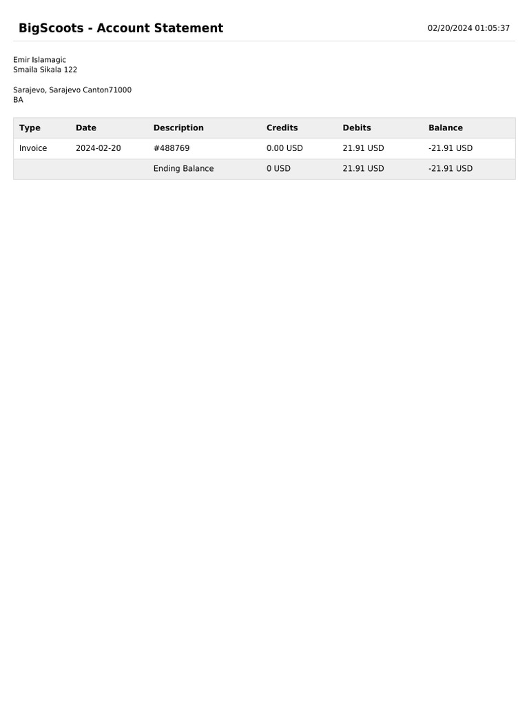 BigScoots Account Statement Summary | PDF