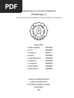 Download pemeliharaan tembakau by Maya Murtidewi SN84896229 doc pdf