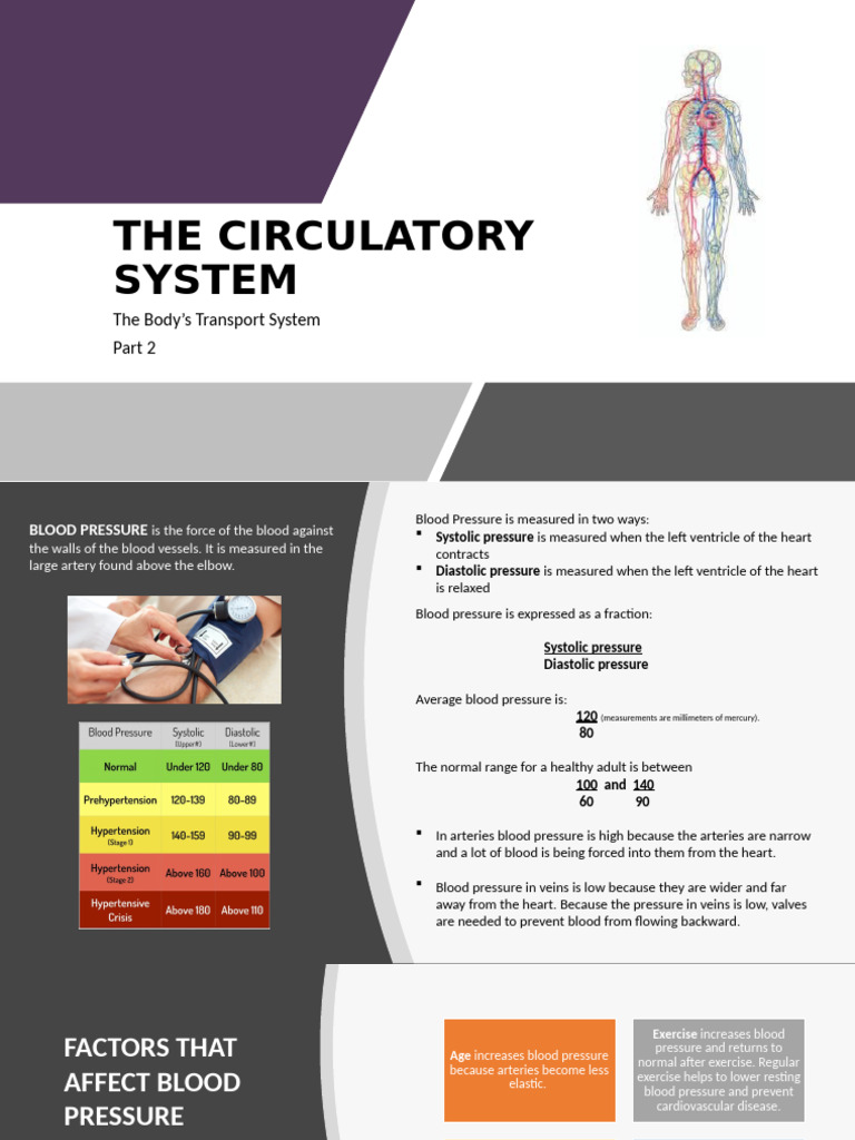 Understanding Blood Pressure Basics | PDF | Blood Pressure | Heart