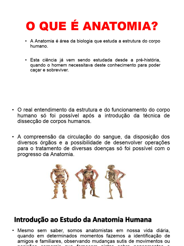 Definição e Estudo da Anatomia | PDF | Anatomia | Corpo humano