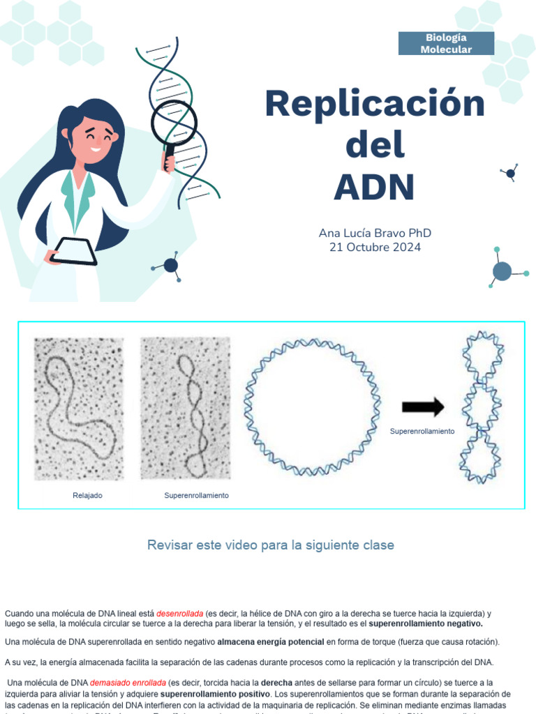 Unidad2 21oct | PDF | Replicación De Adn | Adn