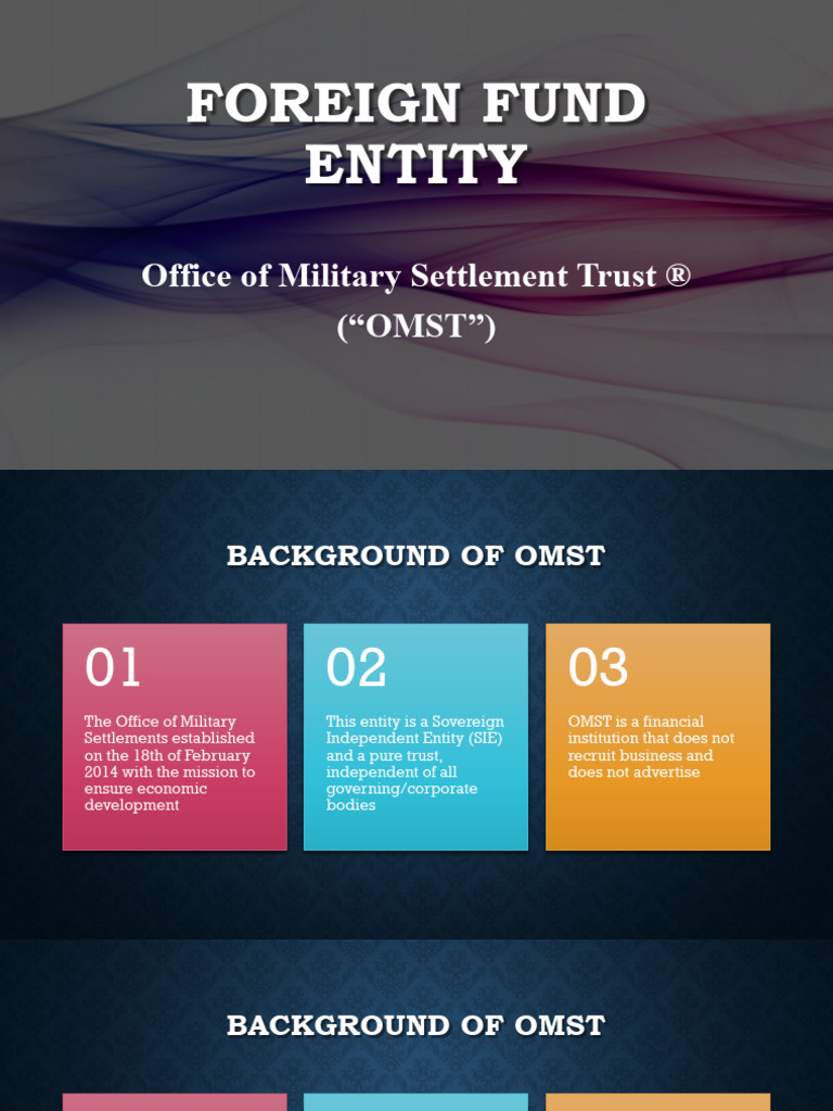 Foreign Fund Entity OMST | PDF | Public–Private Partnership | Loans
