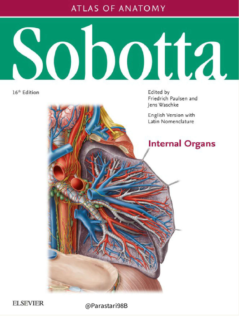 Atlas of Anatomy Internal Organs | PDF