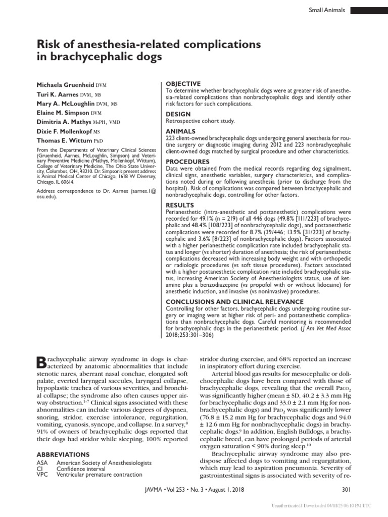 Risk of Anesthesia-Related Complications in Brachycephalic Dogs | PDF ...