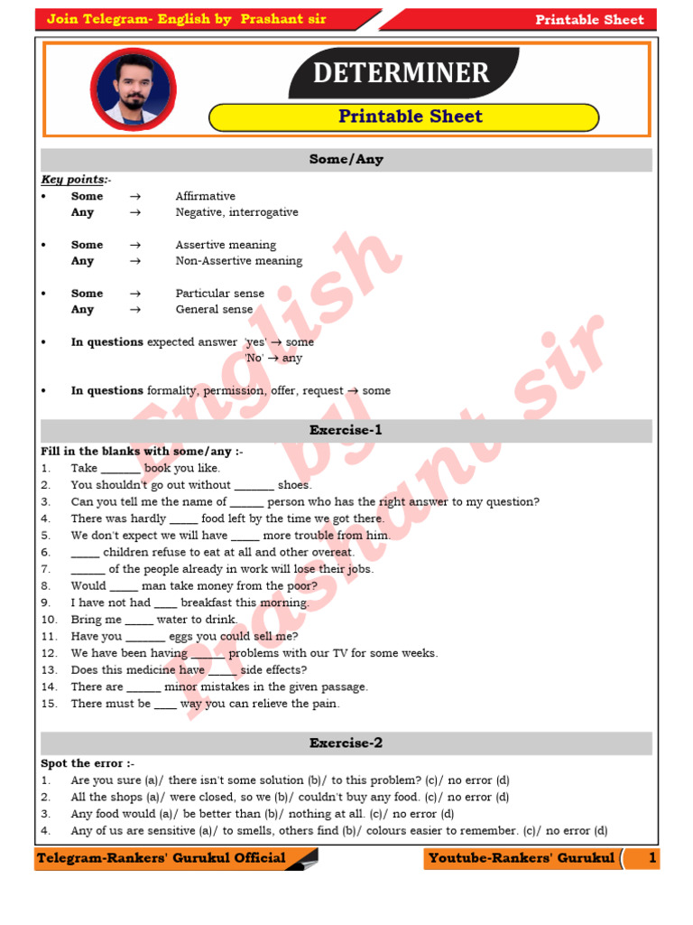 Determiner: Printable Sheet | PDF