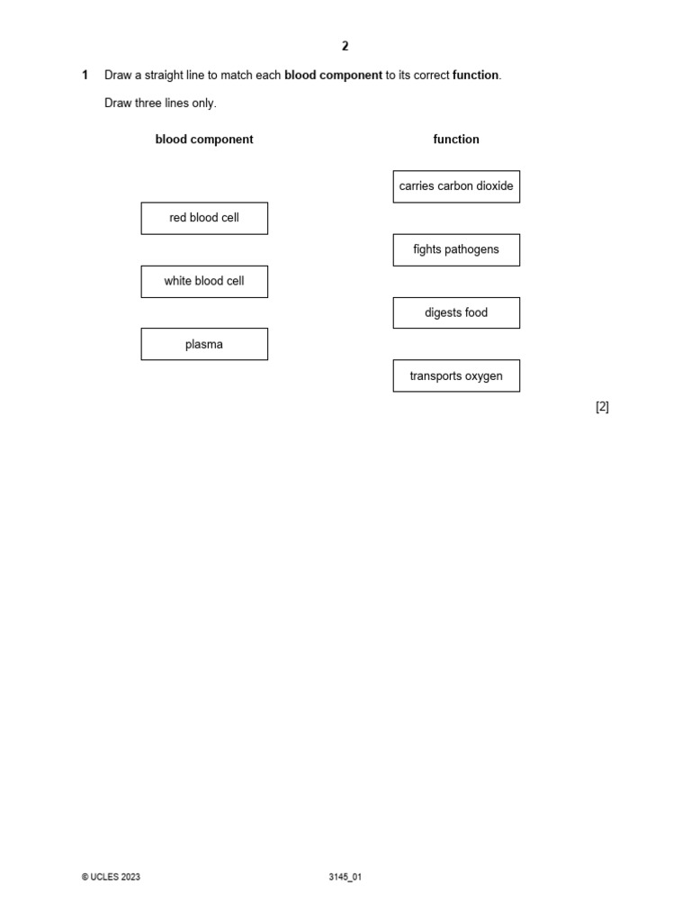 Yr8 Science Homework 25.3.26 | PDF | Atoms | Blood