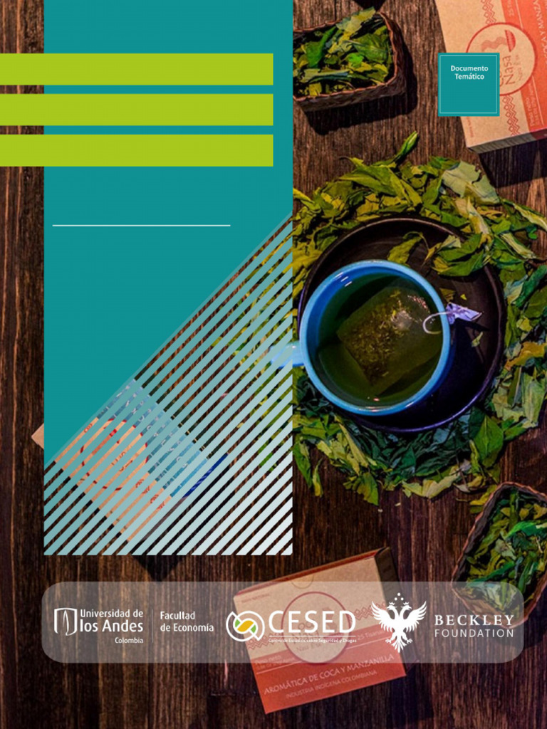 Daring to Regulate Coca Cocaine Final (1) | PDF | Coca | Cocaine