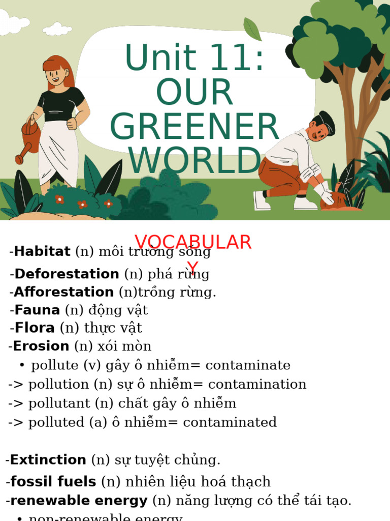 Environment (1) - Sao Chép | PDF