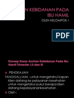 Download Power Point Askeb Kehamilan by Andhy Afrinza Thamsy SN84905288 doc pdf