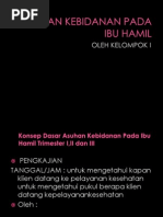 Download Power Point Askeb Kehamilan by Andhy Afrinza Thamsy SN84905288 doc pdf