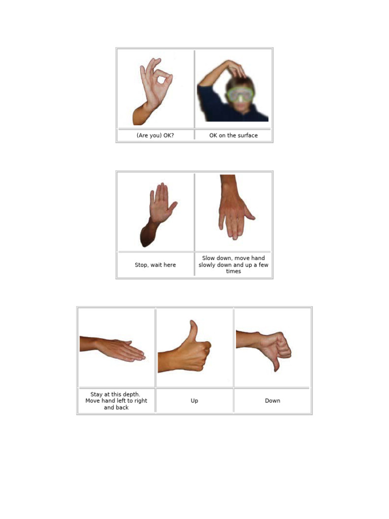 Scuba Diving Hand Signals Guide | PDF | Hand | Underwater Diving