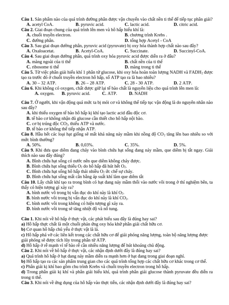 Bai 6 | PDF