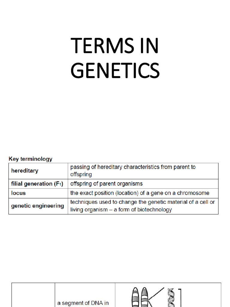 Terms in Genetics | PDF