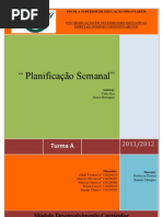 Analise critica planificação Semanal