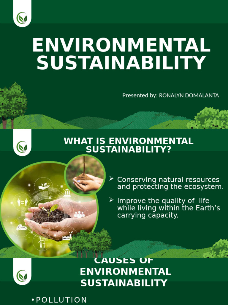 Understanding Environmental Sustainability | PDF