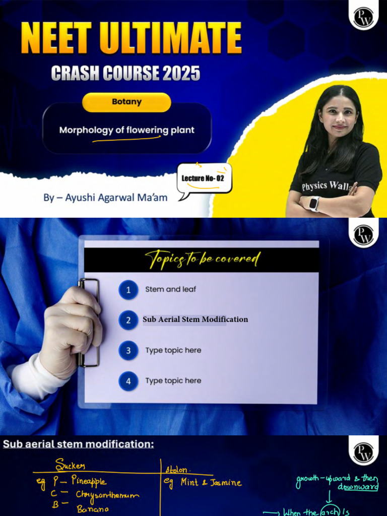 Morphology of Flowering Plant 02 - Class Notes - NEET Ultimate Crash ...
