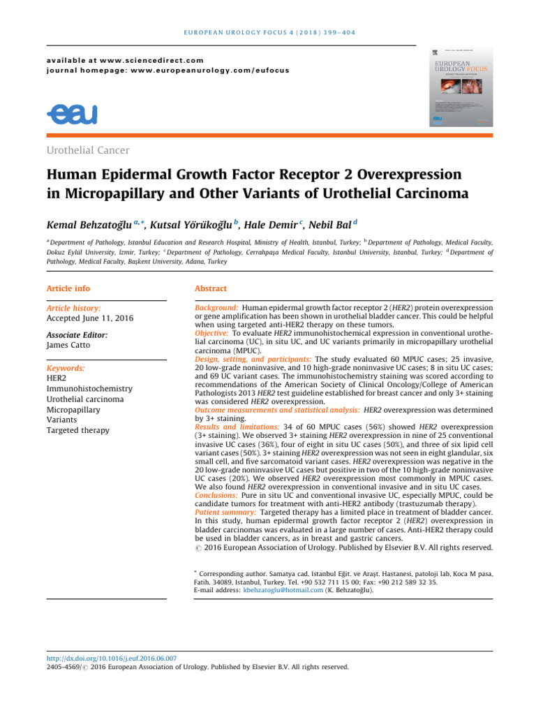 Human Epidermal Growth Factor Receptor 2 Overexpre | PDF ...