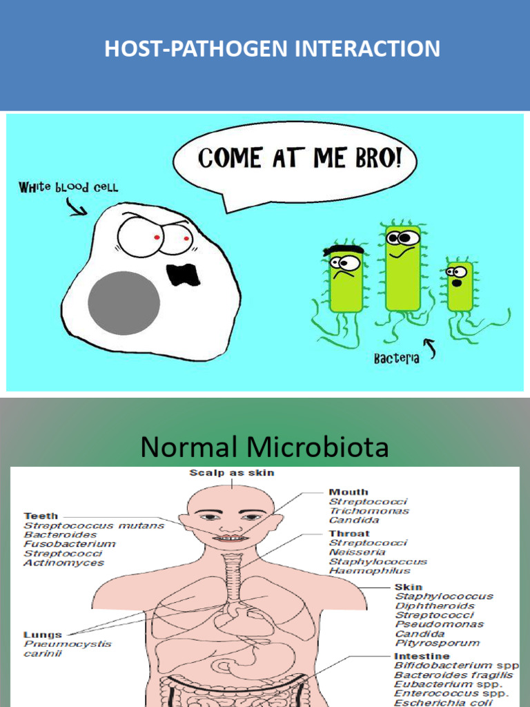 Steps in Host-Pathogen Interaction | PDF | Pathogen | Immune System
