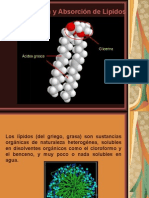 Medicina - Bioquimica Lipidos Estructura y Digestion