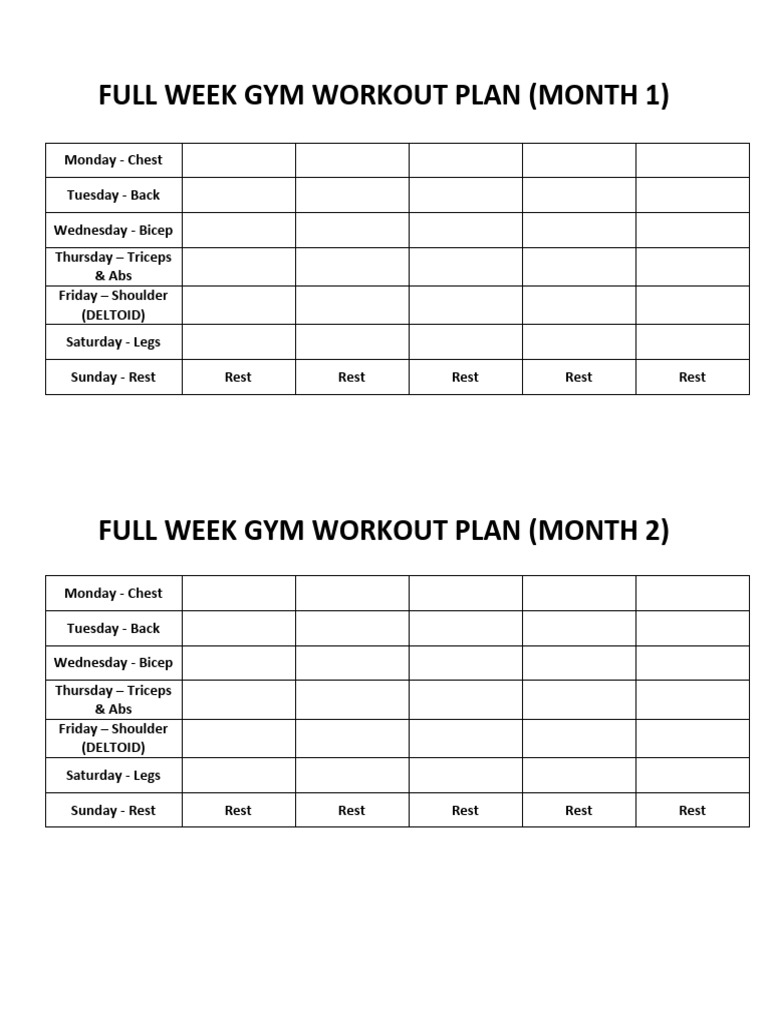 Gym Plan | PDF
