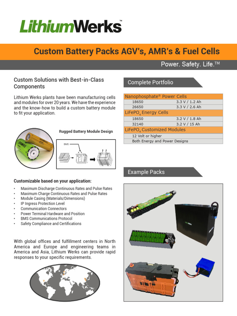 Custom Module Data Sheet 042924 | PDF | Galvanic Cells | Electricity