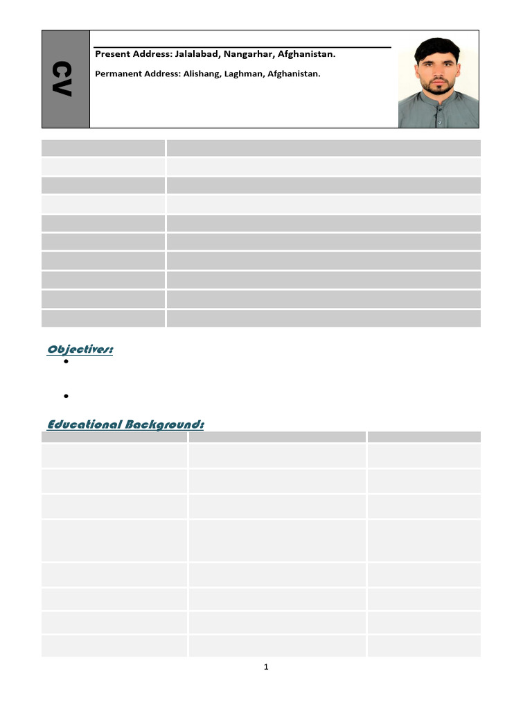 Rohullah Karimi's Professional CV | PDF | Afghanistan