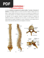 Classification de Magerl des fractures | PDF | Maladies et troubles ...